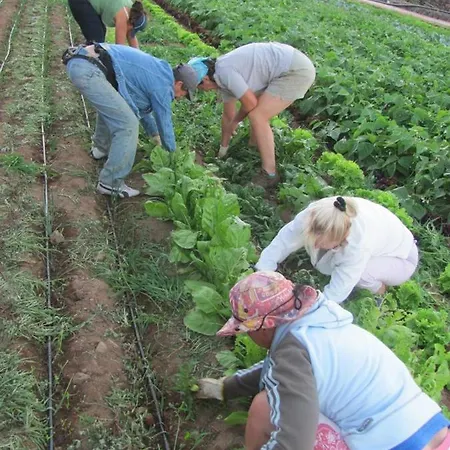 Dulces 팜스테이 Chío