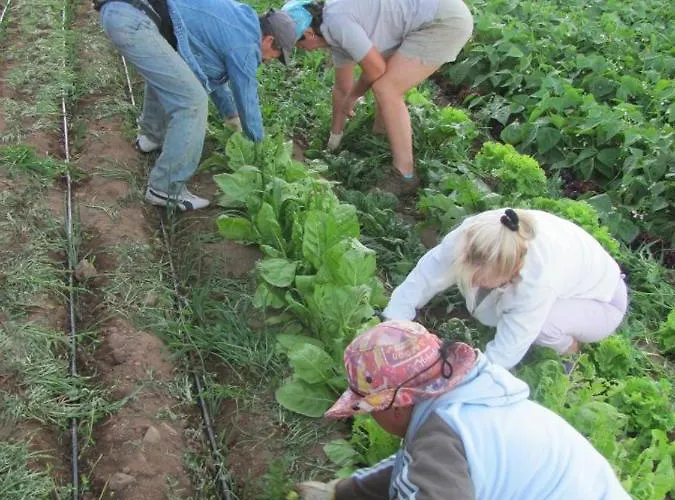 Dulces Gospodarstwo agroturystyczne Chío