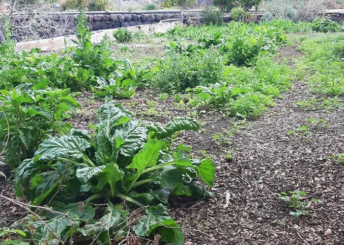 Gospodarstwo agroturystyczne Dulces *