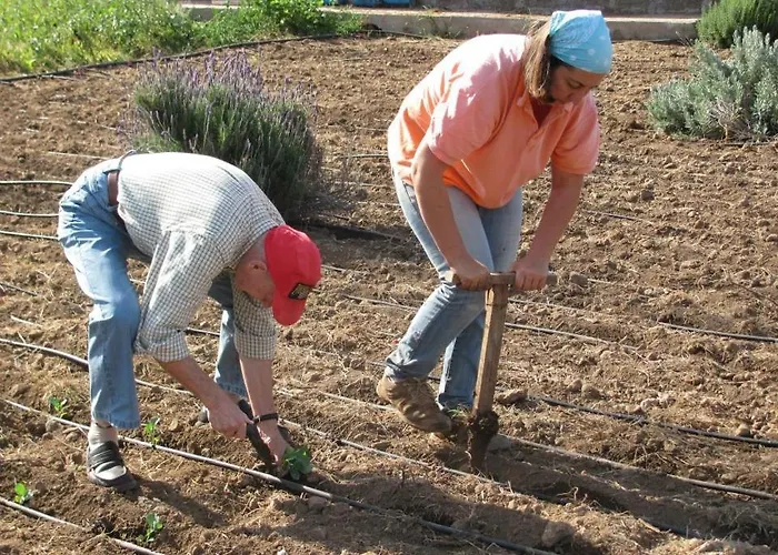 Gospodarstwo agroturystyczne Dulces *